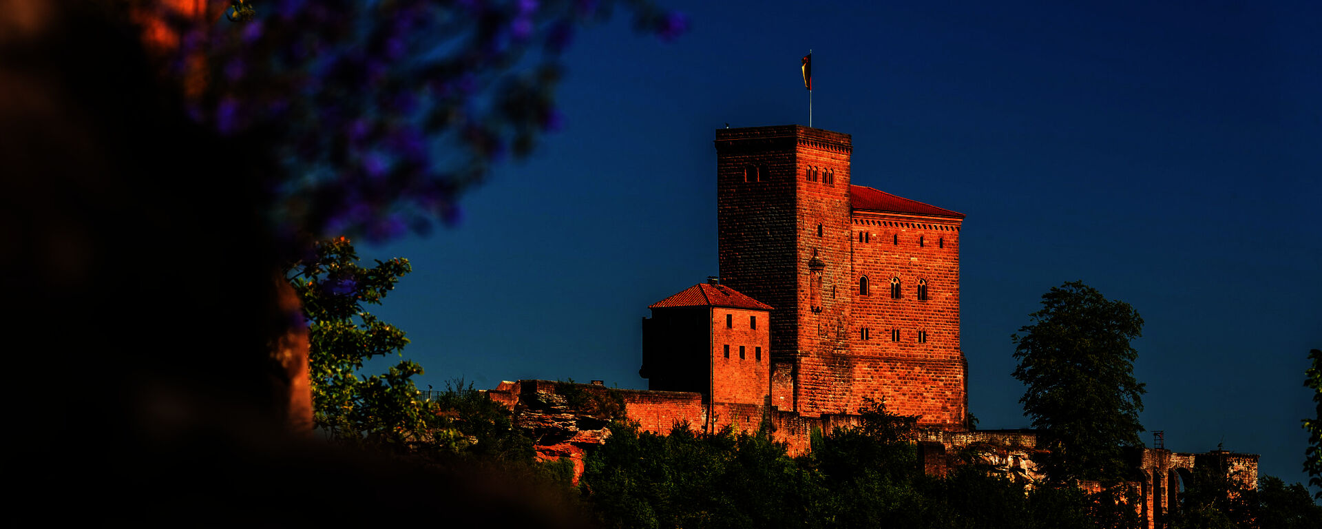 Annweiler am Trifels, Burg Trifels