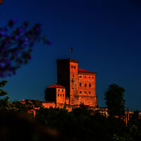 Annweiler am Trifels, Burg Trifels